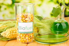 Ashley Heath biofuel availability